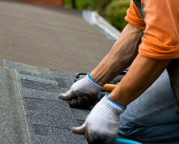 Best Roof Maintenance Services  in Brush, CO