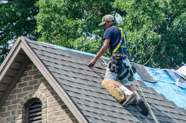 Best Commercial Roofing Services  in Brush, CO